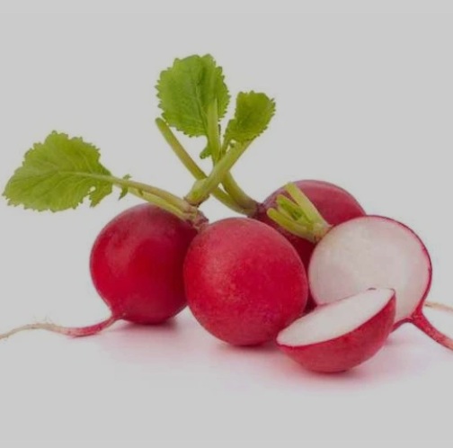 Radish Red